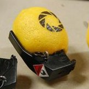 Combustible Lemon (3-pack)