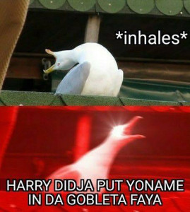 Goblet of Fire